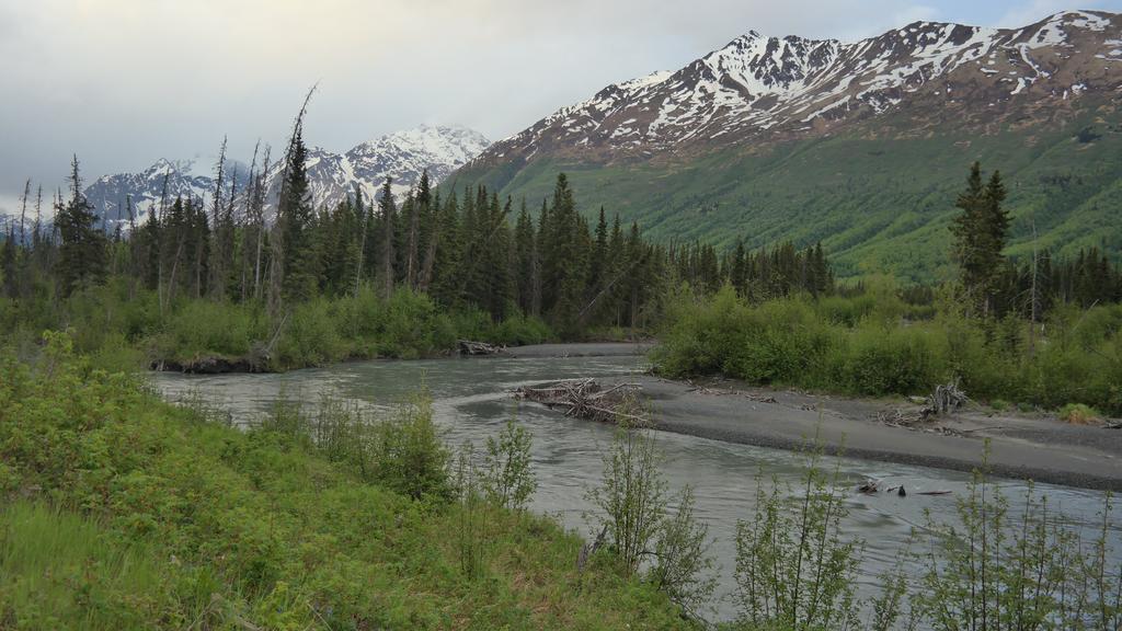 Eagle Peak Guesthouse Eagle River Екстериор снимка